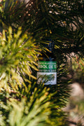 Aceite Puro 100% Árbol de Té